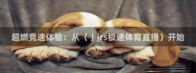 超燃竞速体验：从〈亅jrs极速体育直播〉开始