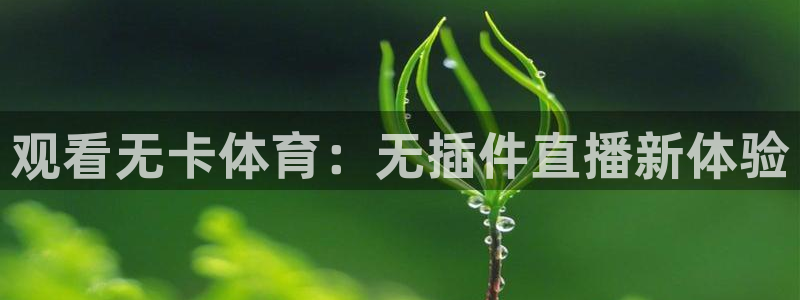 观看无卡体育：无插件直播新体验