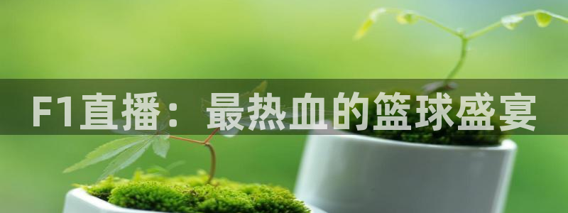 F1直播：最热血的篮球盛宴