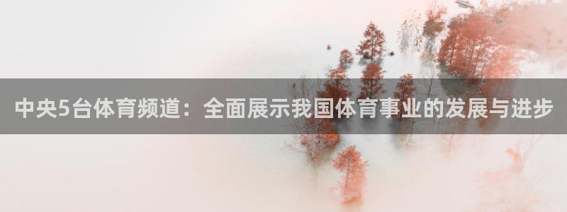 中央5台体育频道：全面展示我国体育事业的发展与进步