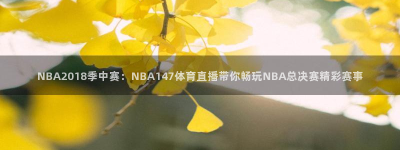 NBA2018季中赛：NBA147体育直播带你畅玩NBA总决赛精彩赛事