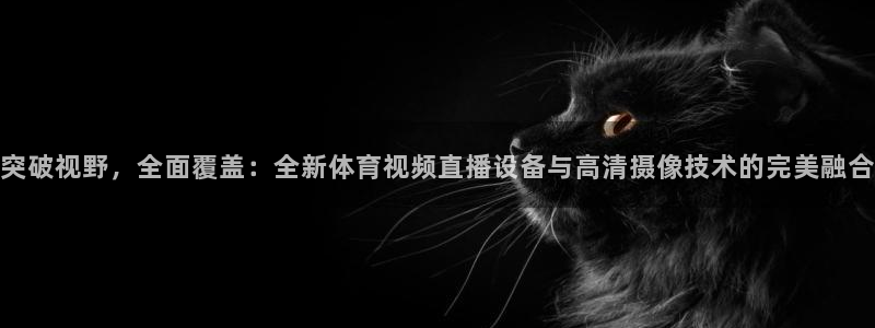 突破视野，全面覆盖：全新体育视频直播设备与高清摄像技术的完美融合
