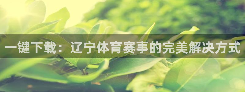 一键下载：辽宁体育赛事的完美解决方式