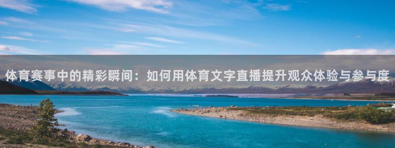 体育赛事中的精彩瞬间：如何用体育文字直播提升观众体验与参与度