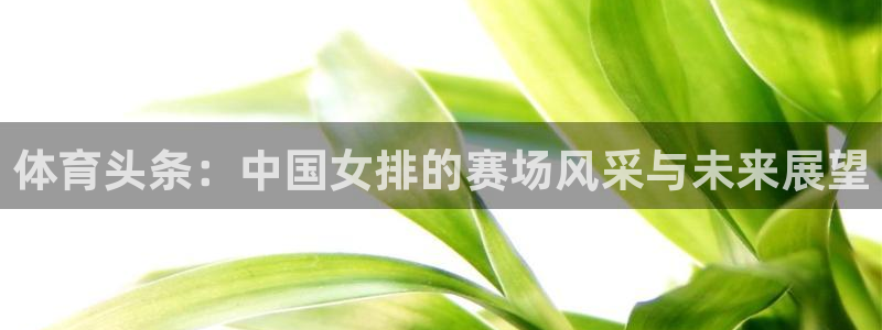 体育头条：中国女排的赛场风采与未来展望