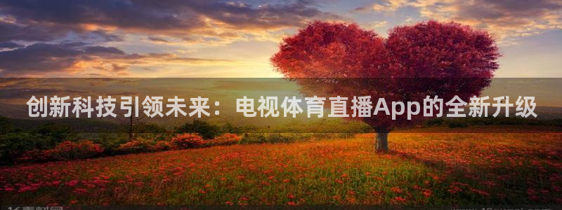 创新科技引领未来：电视体育直播App的全新升级