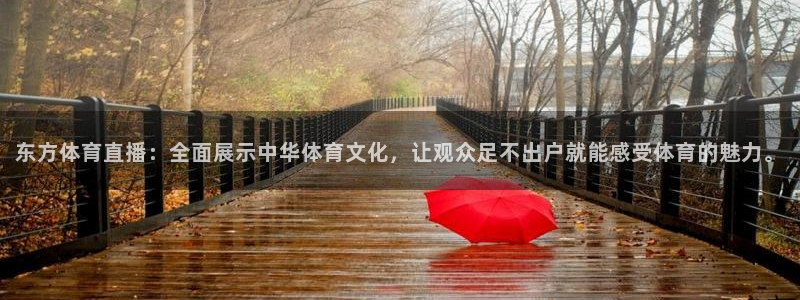 东方体育直播：全面展示中华体育文化，让观众足不出户就能感受体育的魅力。
