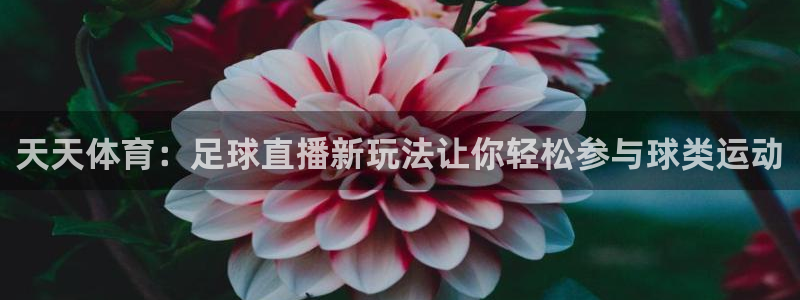 天天体育：足球直播新玩法让你轻松参与球类运动
