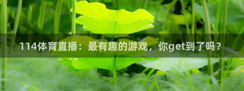 114体育直播：最有趣的游戏，你get到了吗？