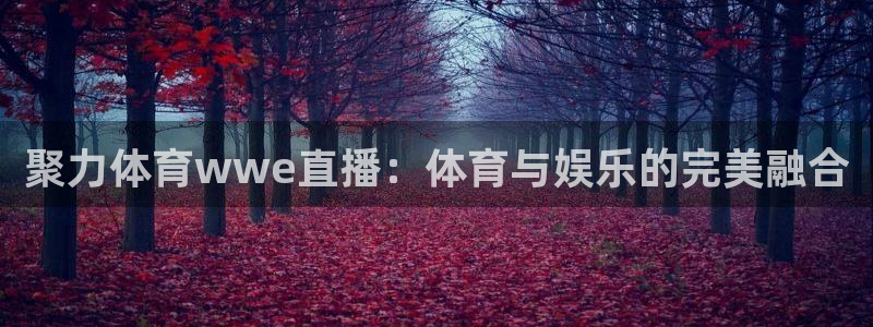 聚力体育wwe直播：体育与娱乐的完美融合