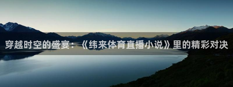 穿越时空的盛宴：《纬来体育直播小说》里的精彩对决