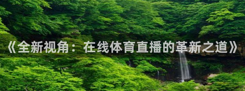 《全新视角：在线体育直播的革新之道》