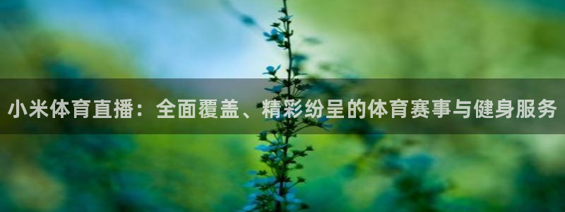 小米体育直播：全面覆盖、精彩纷呈的体育赛事与健身服务