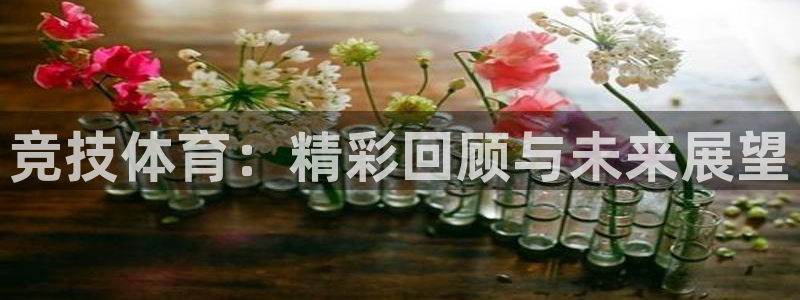 竞技体育：精彩回顾与未来展望